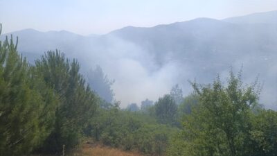 İİzmir’in Ödemiş ilçesinde otluk alanda çıkan yangın havadan ve karadan
