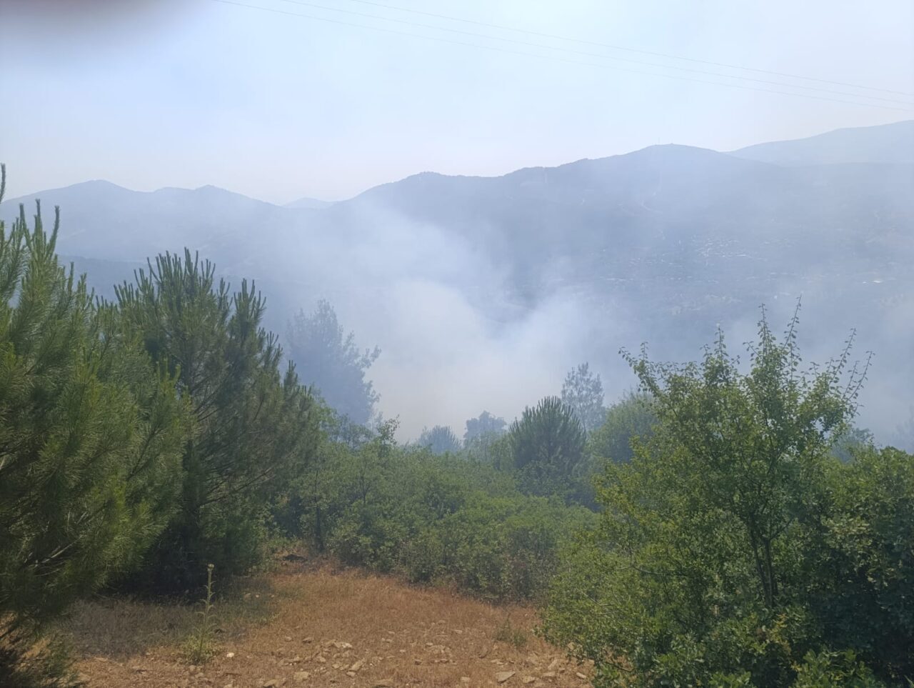 İİzmir’in Ödemiş ilçesinde otluk alanda çıkan yangın havadan ve karadan