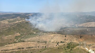 İzmir'in Seferihisar ilçesinde otluk alanda çıkan yangına havadan ve karadan