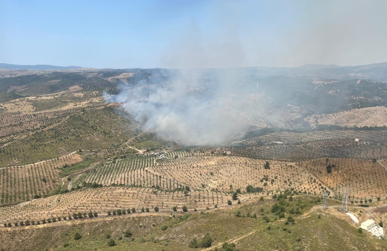 İzmir'in Seferihisar ilçesinde otluk alanda çıkan yangına havadan ve karadan