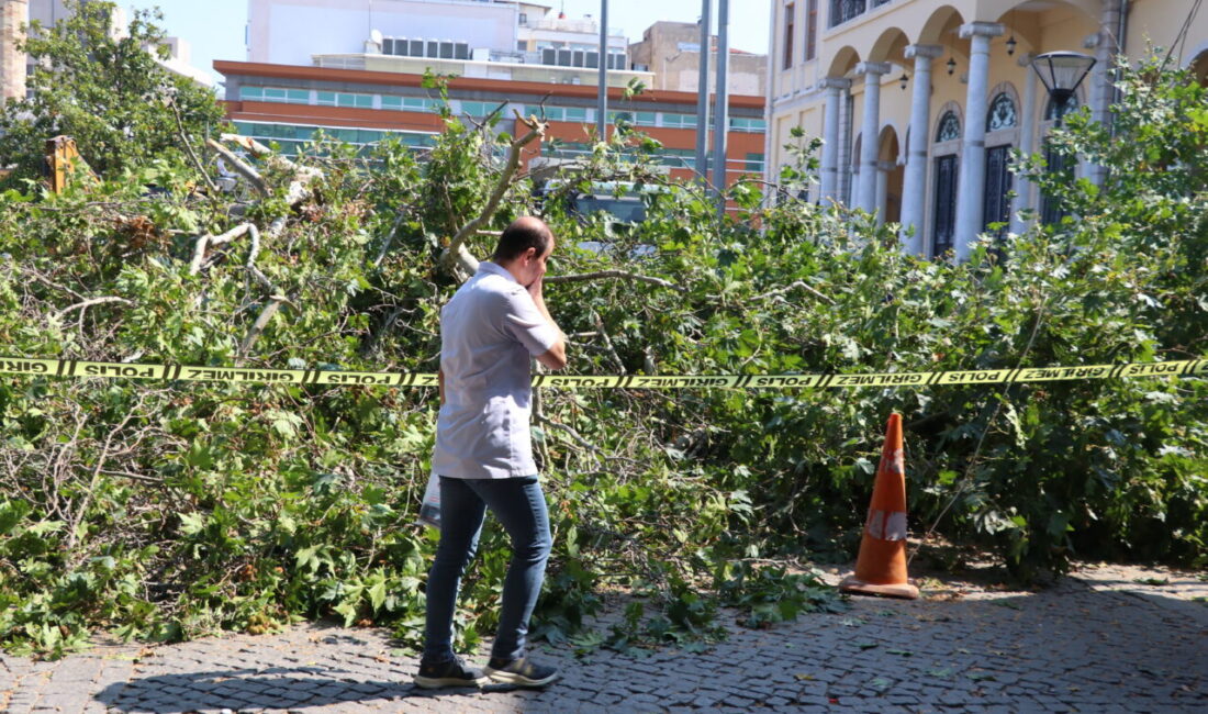  İzmir'de tarihi Kemeraltı Çarşısı girişindeki asırlık çınar ağacının devrilmesi güvenlik