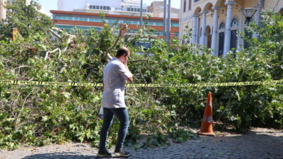  İzmir'de tarihi Kemeraltı Çarşısı girişindeki asırlık çınar ağacının devrilmesi güvenlik
