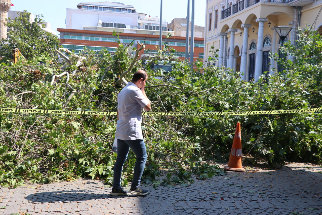  İzmir'de tarihi Kemeraltı Çarşısı girişindeki asırlık çınar ağacının devrilmesi güvenlik
