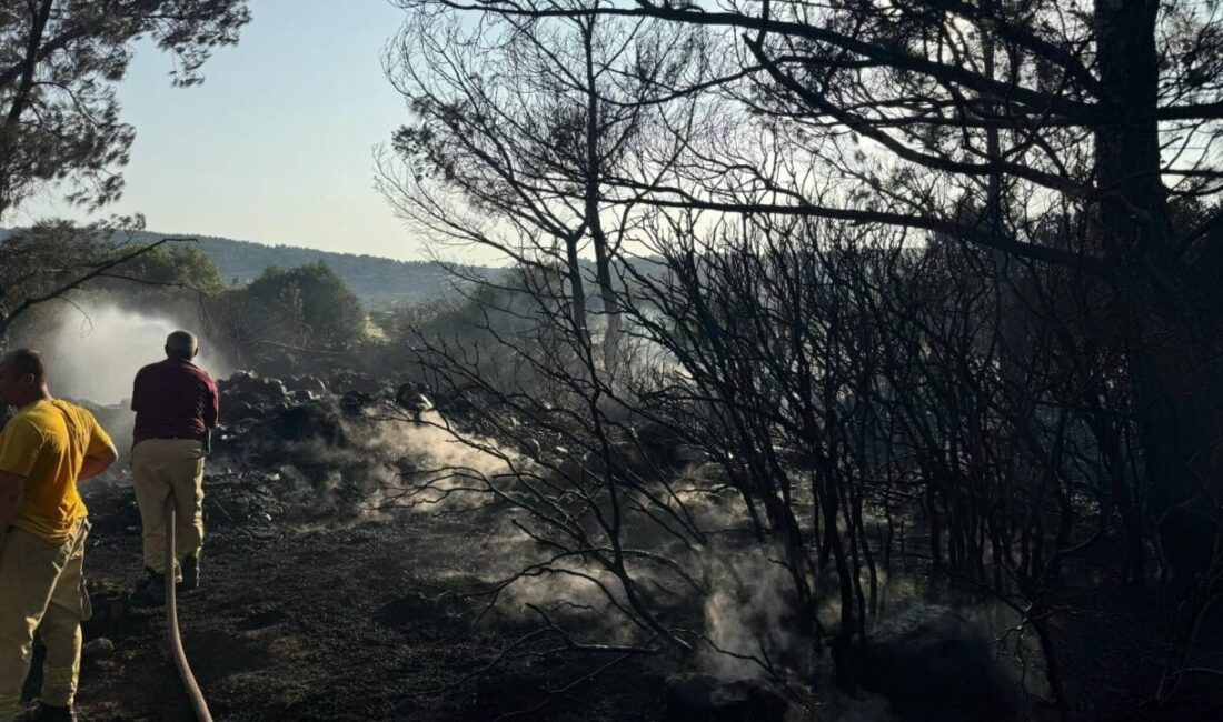  İzmir'in Urla ilçesinde, arazisinde yaktığı mangal ateşinden çıkan kıvılcımların bitişiğindeki