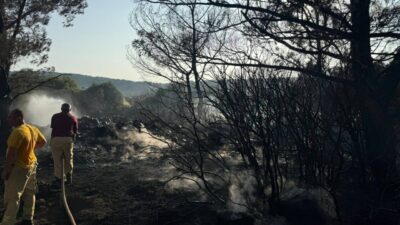  İzmir'in Urla ilçesinde, arazisinde yaktığı mangal ateşinden çıkan kıvılcımların bitişiğindeki