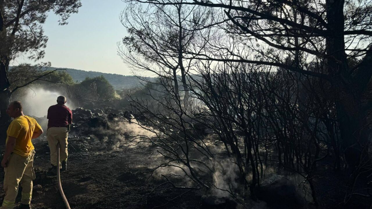  İzmir'in Urla ilçesinde, arazisinde yaktığı mangal ateşinden çıkan kıvılcımların bitişiğindeki