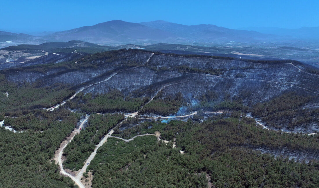  İzmir'in Aliağa ilçesinde başlayıp Foça'ya sıçrayan orman yangınında zarar gören