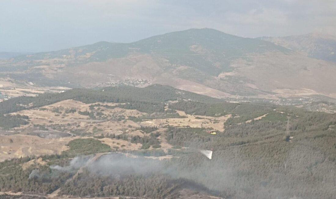 İzmir’in Aliağa ilçesinde ormanlık alanda çıkan yangına ekipler müdahale ediyor.