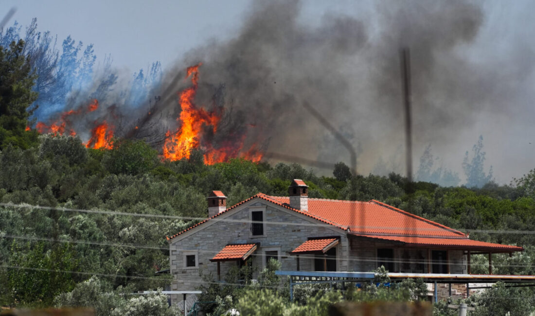 İzmir’in Foça ilçesindeki ormanlık alanda çıkan yangın, havadan ve karadan