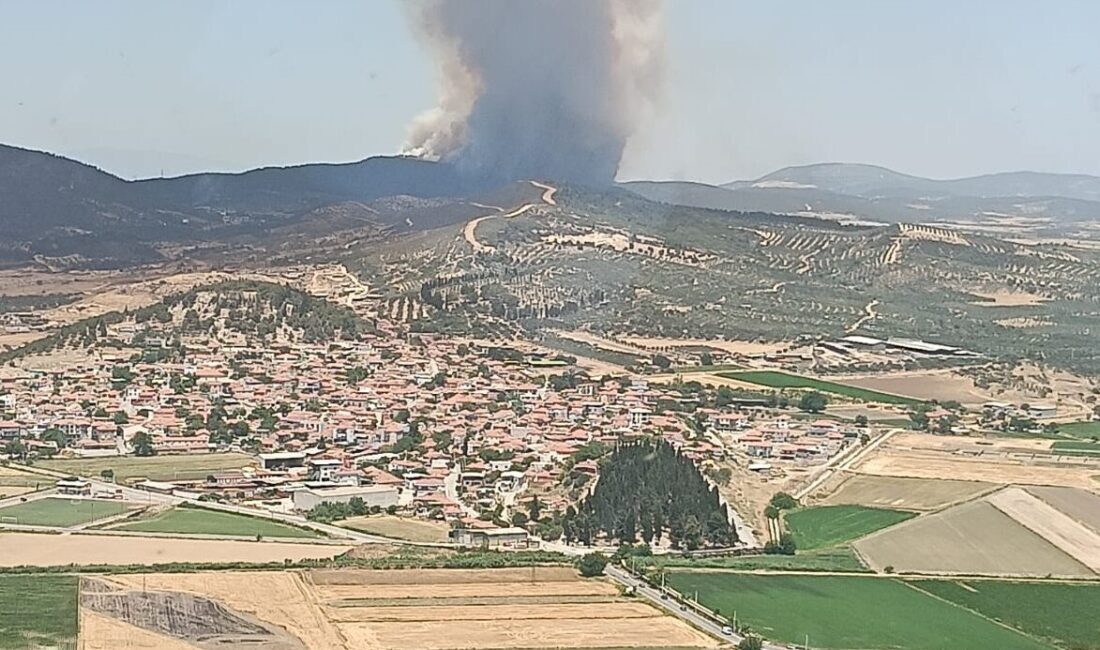  İzmir'in Foça ilçesinde çıkan orman yangınına havadan ve karadan müdahale