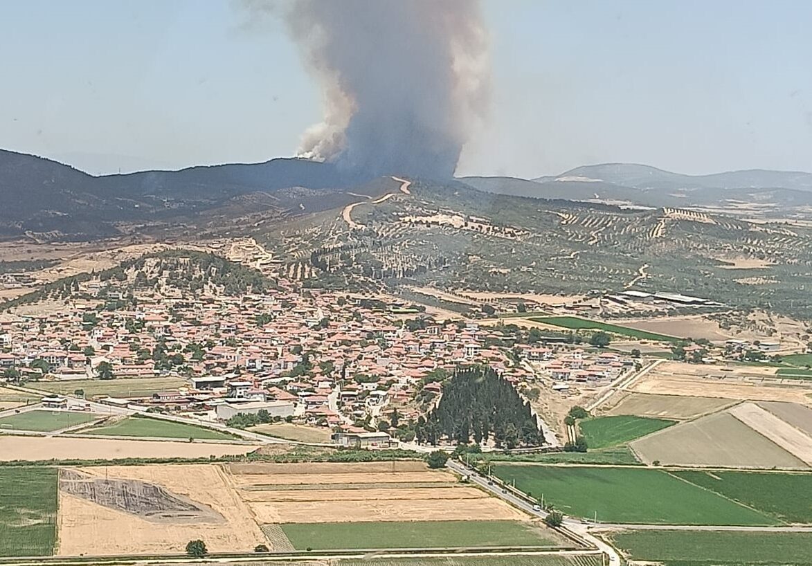  İzmir'in Foça ilçesinde çıkan orman yangınına havadan ve karadan müdahale