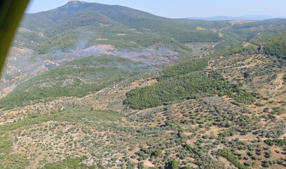 İzmir’in Torbalı ilçesinde çıkan orman yangını havadan ve karadan müdahaleyle