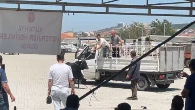 Kütahya’nın Tavşanlı ilçesinde hayvan pazarından kaçan büyükbaş, ekipleri harekete geçirdi