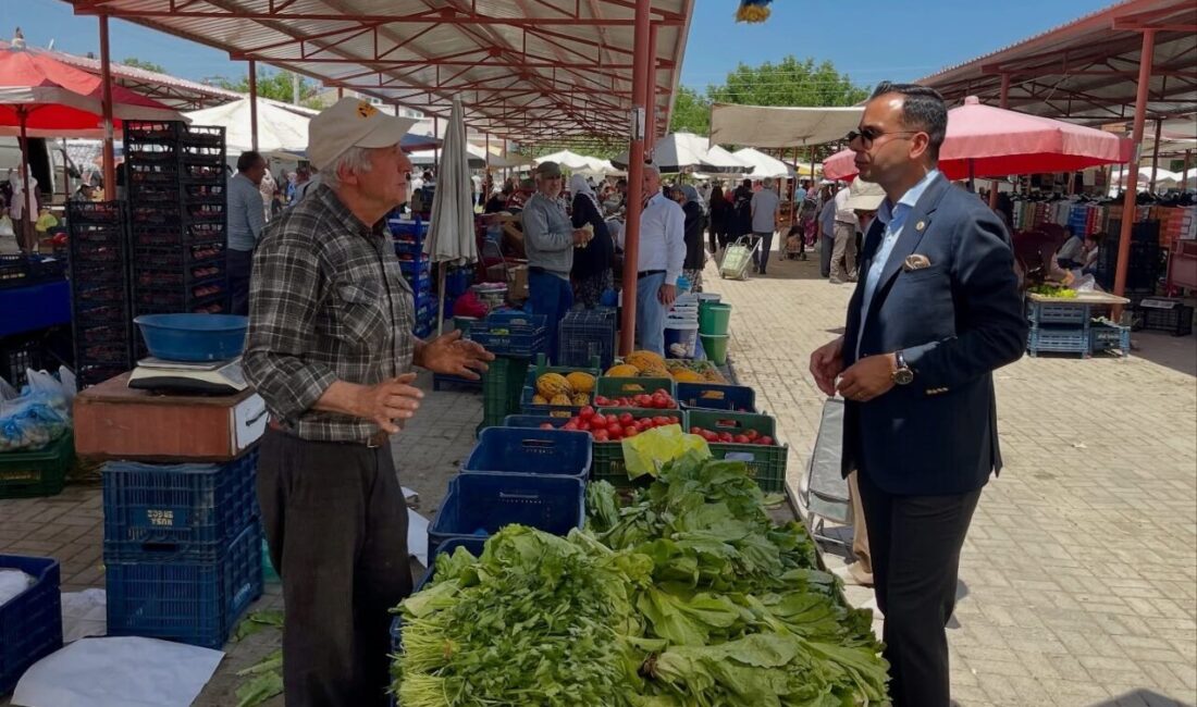 Afyonkarahisar Sinanpaşa Kaymakamı Emrah Aslan, ilçeye kurulan pazar yerini ziyaret