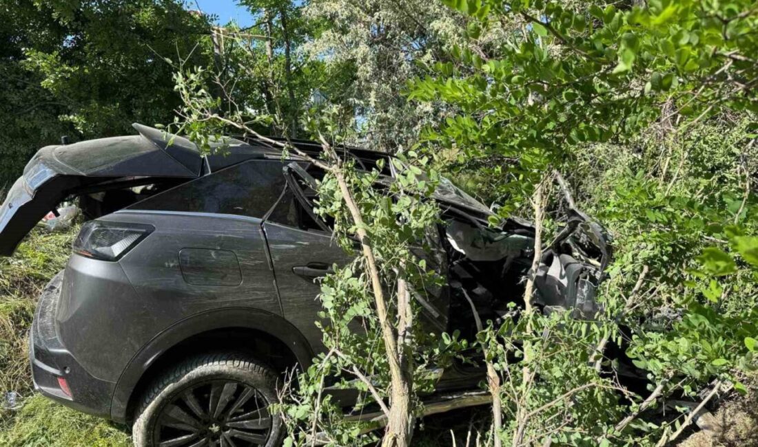 Afyonkarahisar’ın Emirdağ ilçesinde meydana gelen trafik kazasında biri çocuk olmak