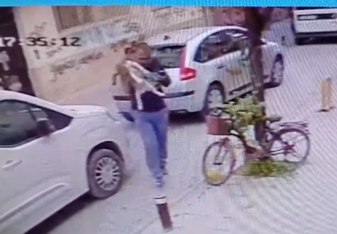 Eskişehir’de bir ara sokakta, kucağındaki köpeği yere fırlatan şahıs hakkında