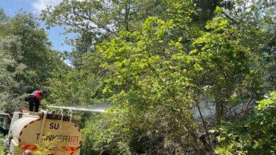 Bilecik’in Pazaryeri ilçesinde bulunan Küçükelmalı Tabiat Parkı’nda bir sigara izmariti