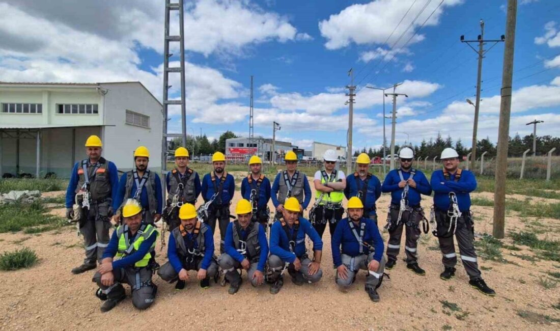 Elektrik dağıtım şirketi OEDAŞ, Kurban Bayramı’nda planlı kesinti yapmayacağını açıkladı.