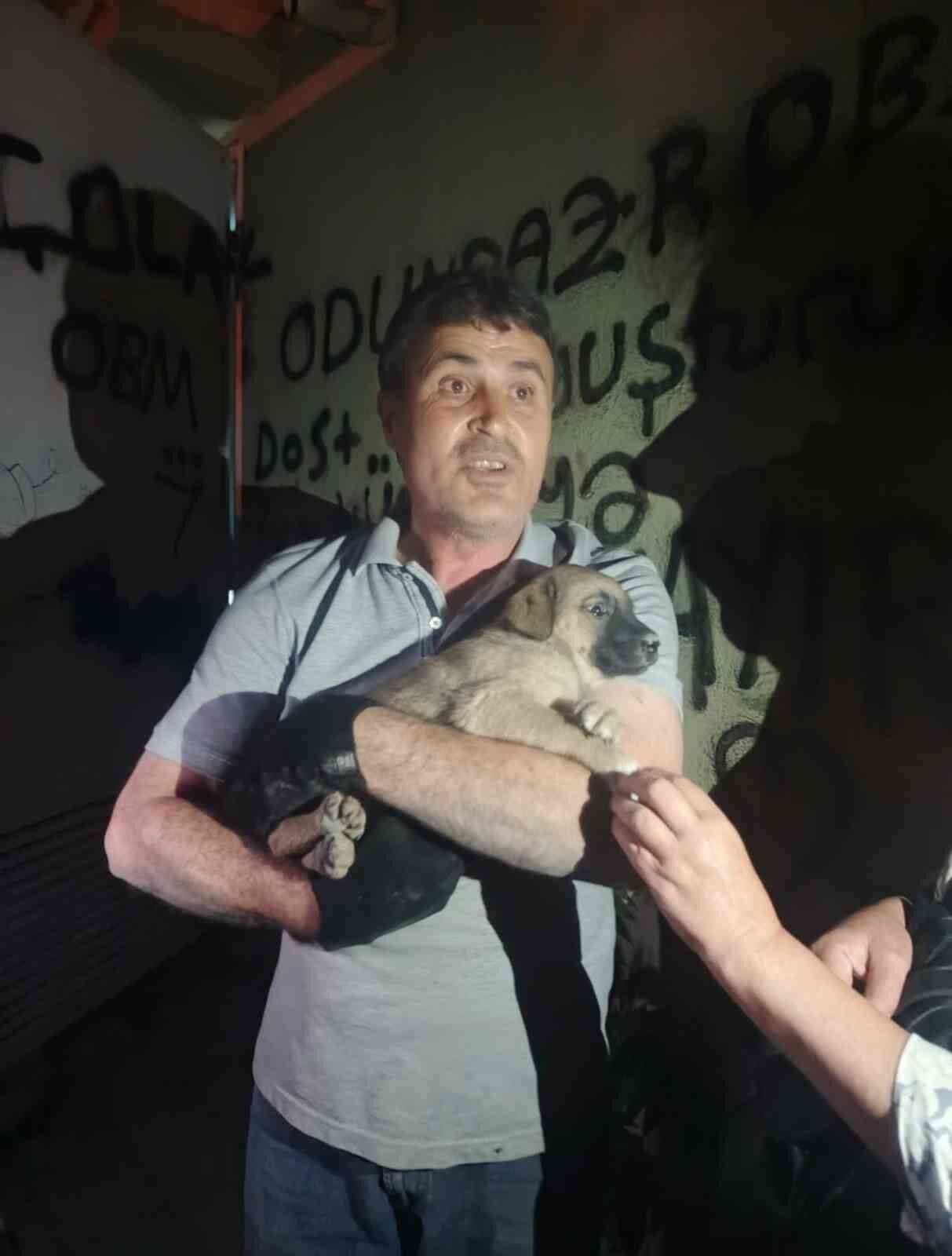 Eskişehir’de bir trafoda mahsur kalan yavru köpek, Osmangazi Elektrik Dağıtım