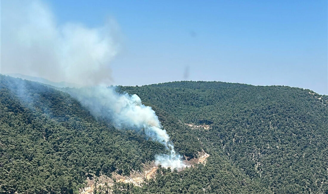 Manisa’nın Yunusemre ilçesinde başlayan orman yangınına havadan ve karadan müdahale