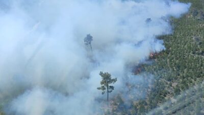 Manisa'nın Soma ilçesinde çıkan orman yangınına, havadan ve karadan müdahale