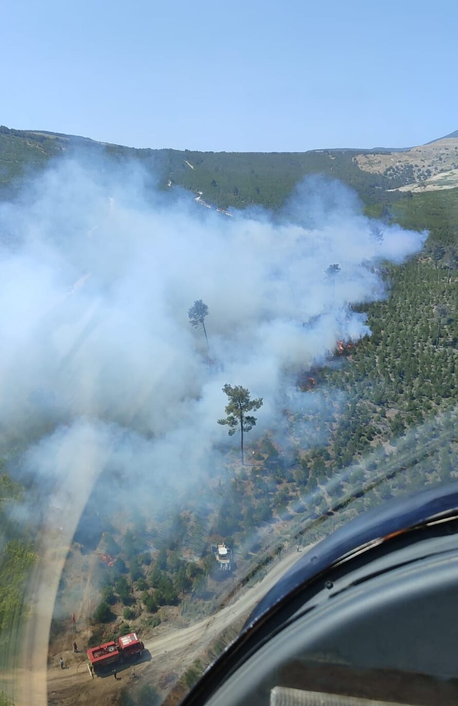 Manisa'nın Soma ilçesinde çıkan orman yangınına, havadan ve karadan müdahale