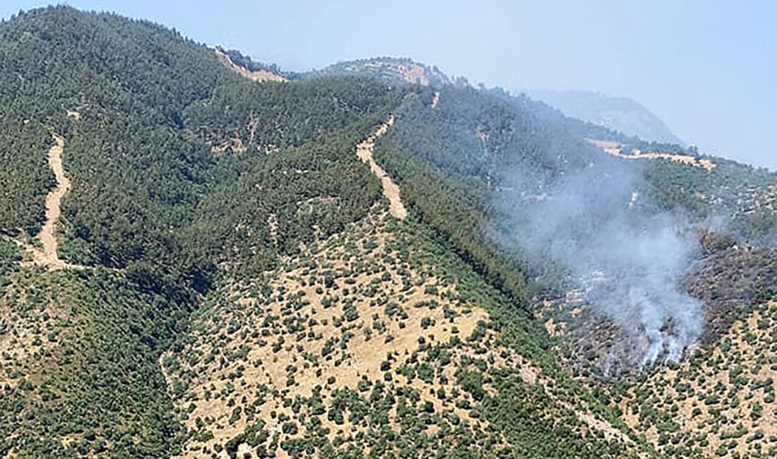Manisa’nın Alaşehir ilçesinde çıkan orman yangınına havadan ve karadan müdahale