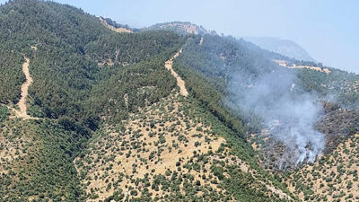 Manisa’nın Alaşehir ilçesinde çıkan orman yangınına havadan ve karadan müdahale