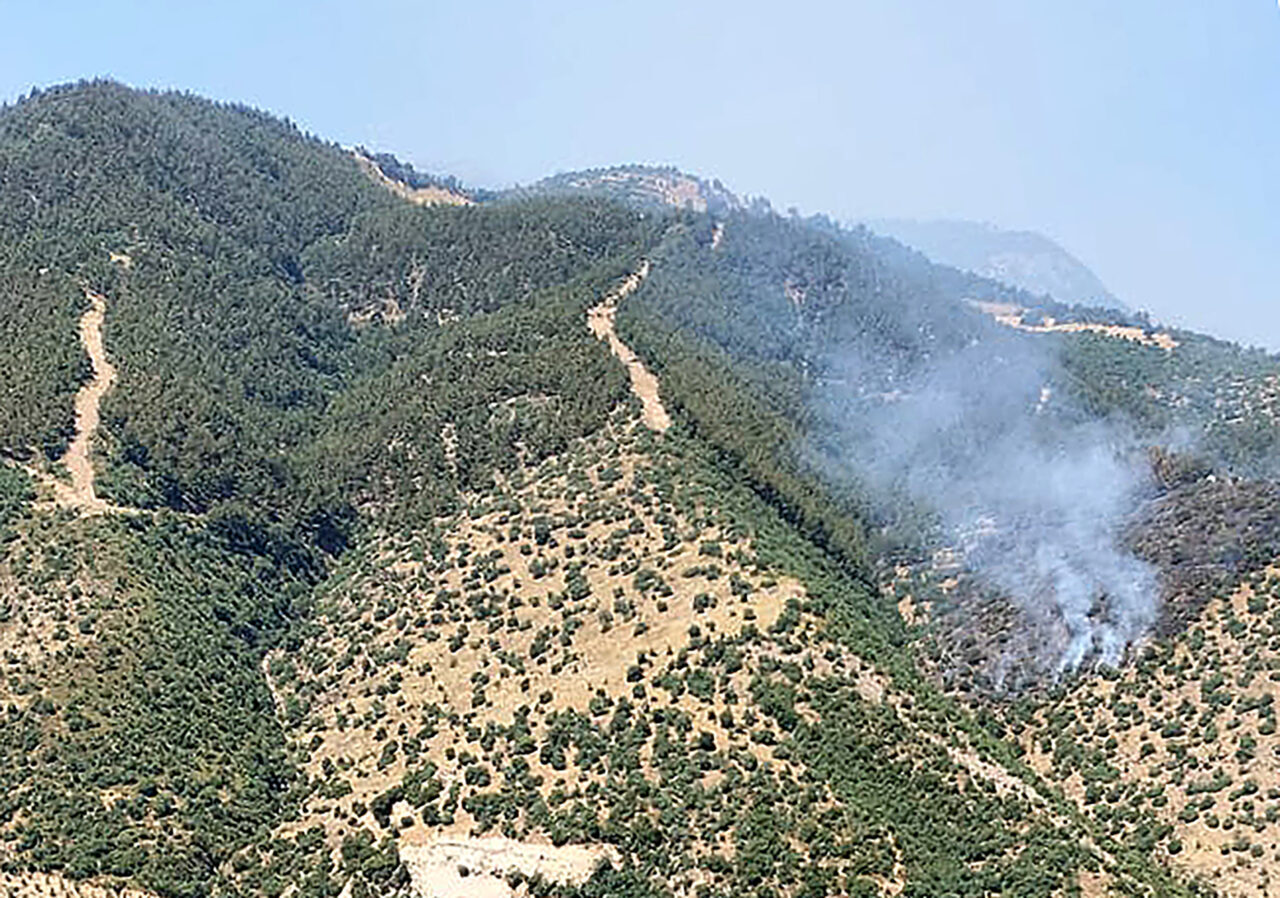 Manisa’nın Alaşehir ilçesinde çıkan orman yangınına havadan ve karadan müdahale