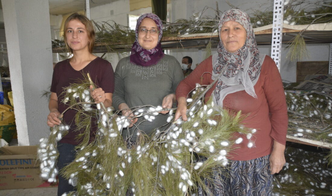 Muğla’nın Seydikemer ilçesinde anne ile kızı, Tarım ve Orman Bakanlığının