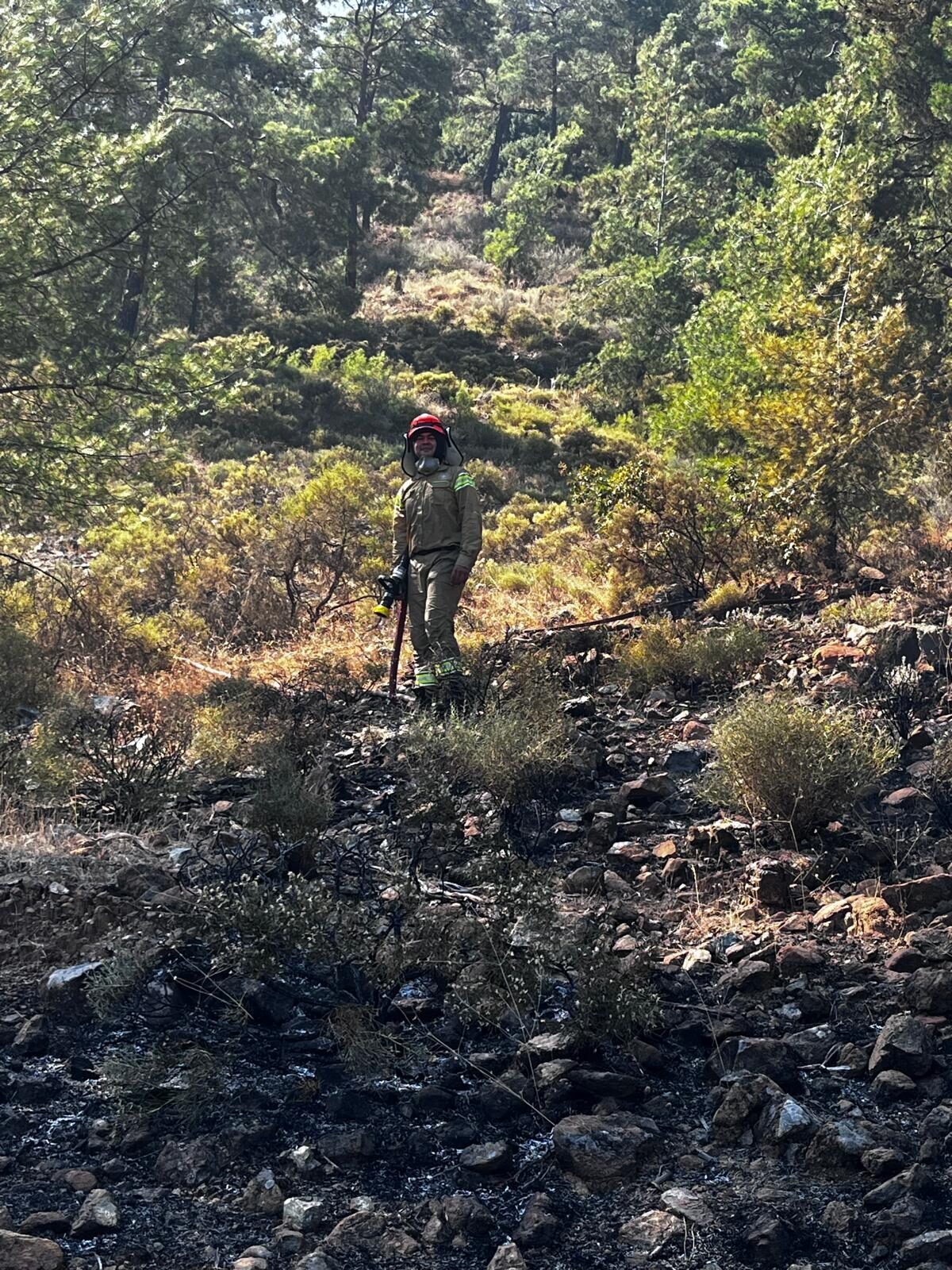  Muğla'nın Köyceğiz ilçesinde çıkan orman yangını büyümeden söndürüldü.