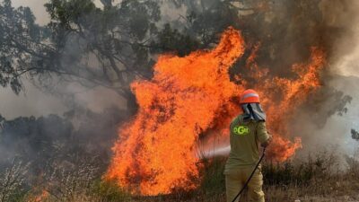  Muğla'nın Yatağan ilçesinde çıkan orman yangını ekiplerin müdahalesiyle söndürüldü.