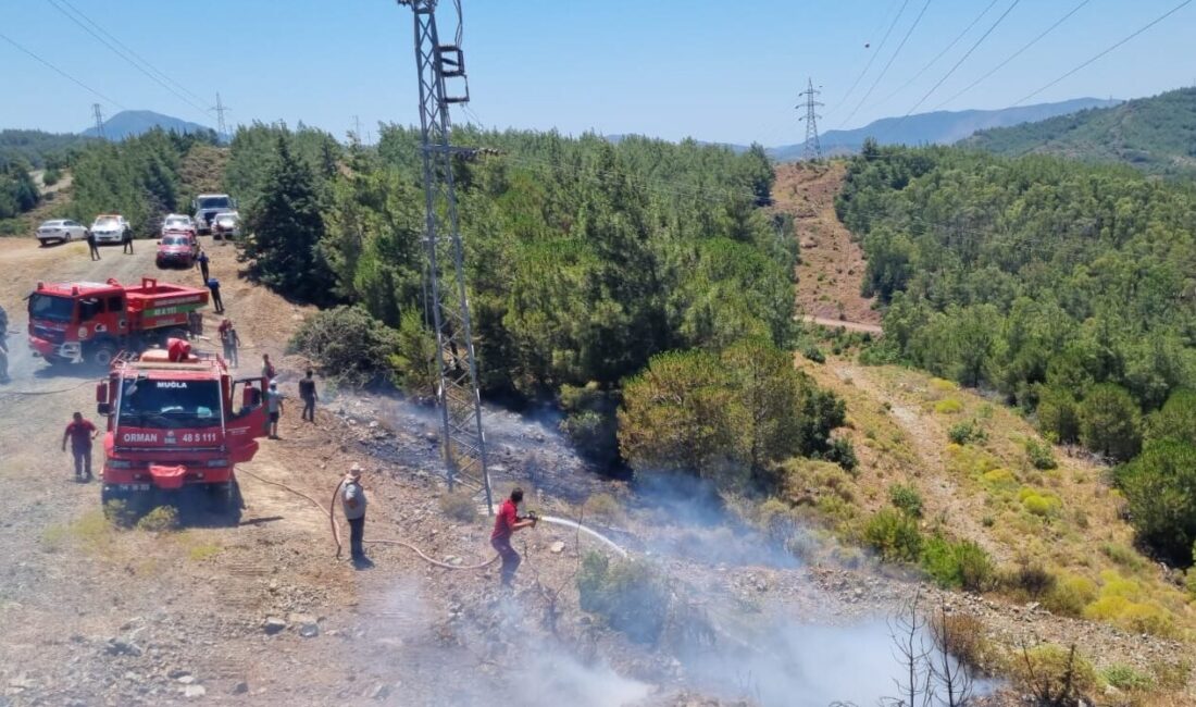  Muğla'nın Marmaris ilçesinde çıkan orman yangını büyümeden söndürüldü.