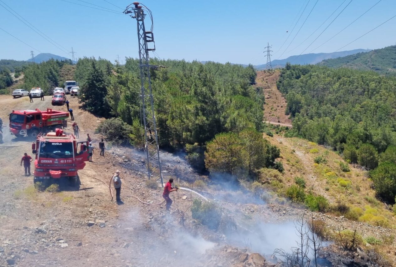  Muğla'nın Marmaris ilçesinde çıkan orman yangını büyümeden söndürüldü.