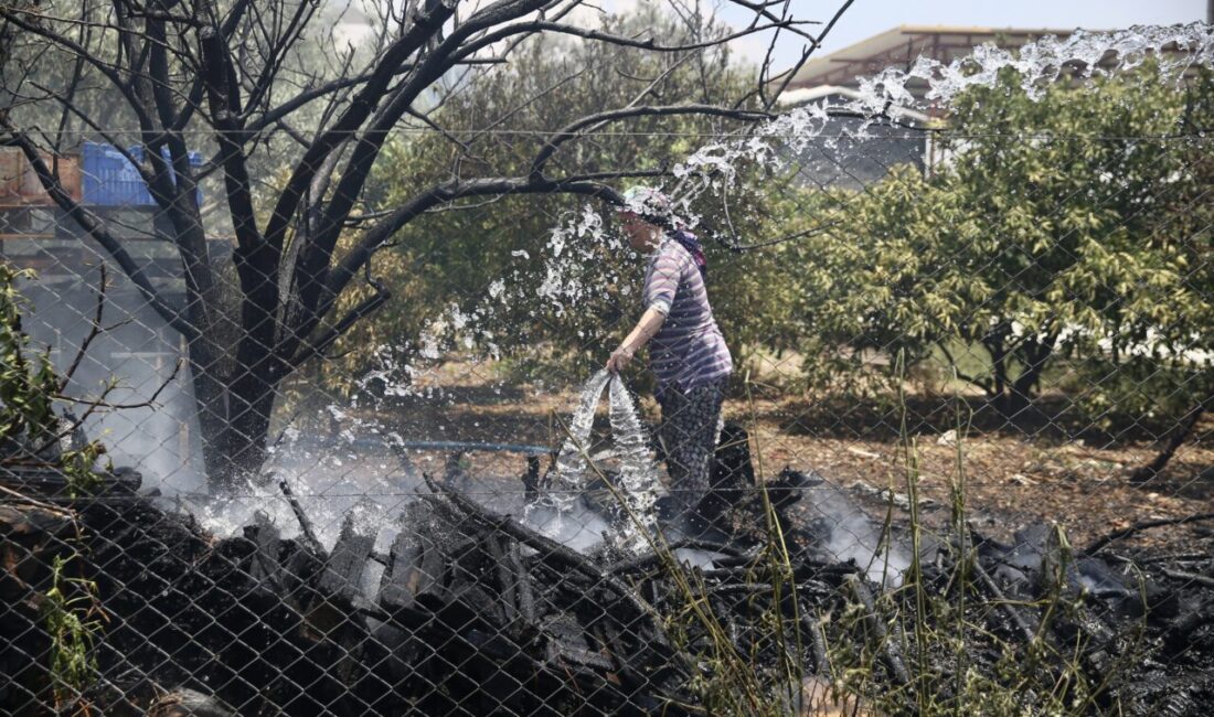  Muğla'nın Fethiye ilçesinde odunlukta çıkan ve zeytinliğe sıçrayan yangın söndürüldü.
