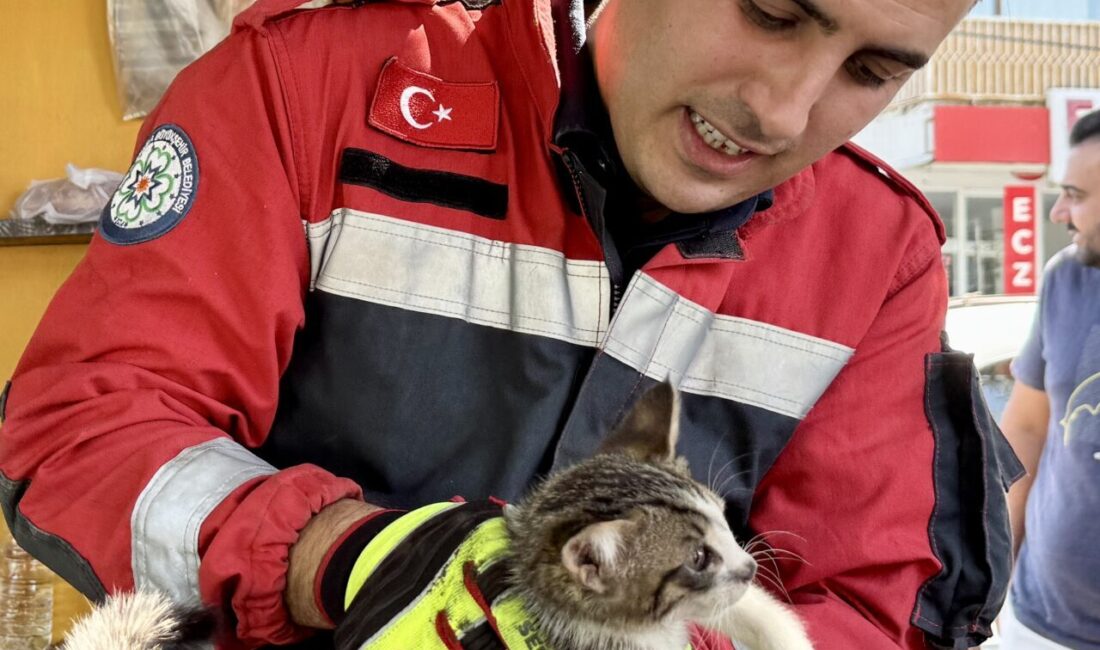 Muğla’nın Fethiye ilçesinde otomobilin motor bölümünde sıkışan kedi yavrusu bulunduğu