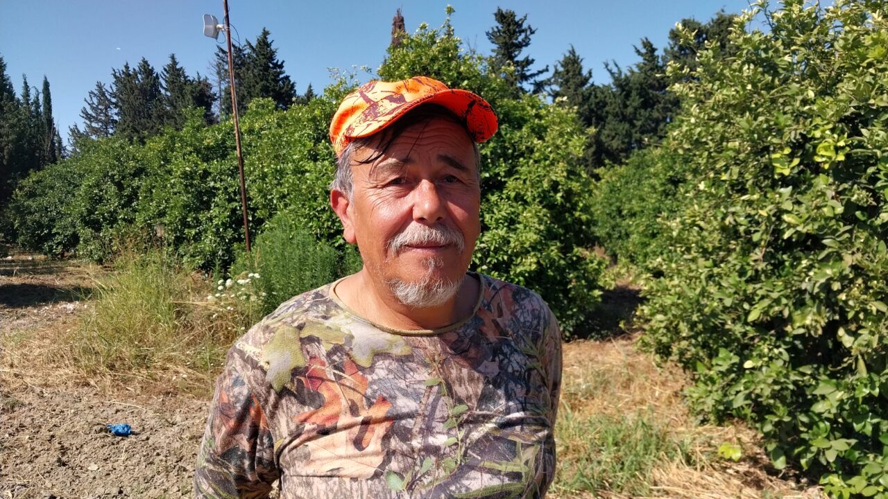  Tarım İşletmeleri Genel Müdürlüğü (TİGEM) Dalaman İşletme Müdürlüğü arazisinde yaban