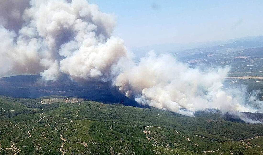 Manisa'nın Akhisar ilçesinde çıkan orman yangınına havadan ve karadan müdahale