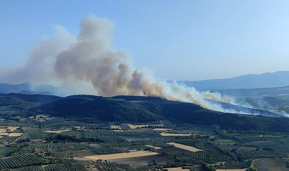 Manisa'nın Kırkağaç ilçesinde çıkan orman yangınına havadan ve karadan müdahale