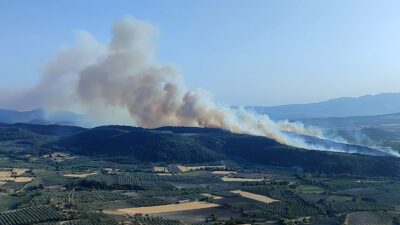 Manisa'nın Kırkağaç ilçesinde çıkan orman yangınına havadan ve karadan müdahale