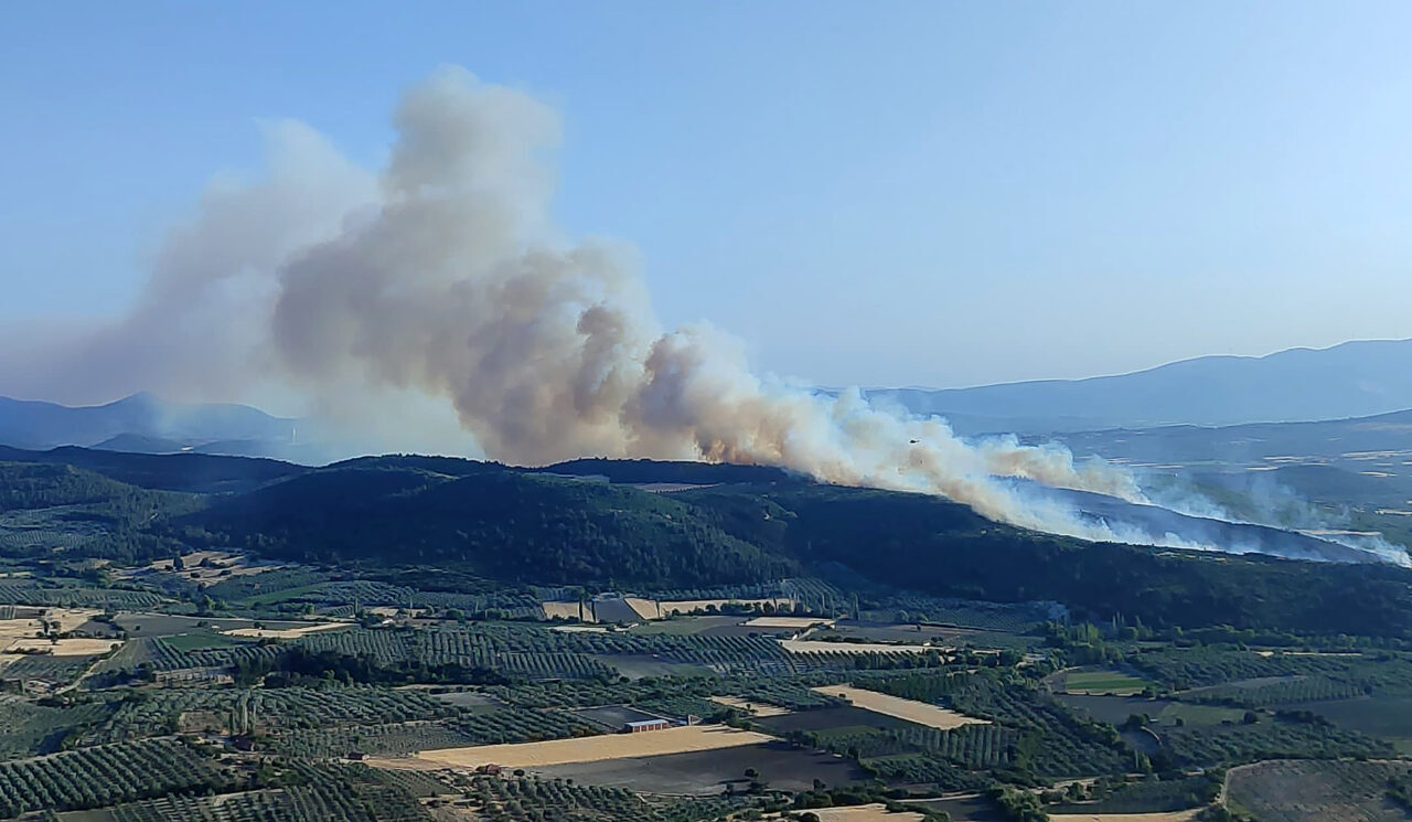 Manisa'nın Kırkağaç ilçesinde çıkan orman yangınına havadan ve karadan müdahale