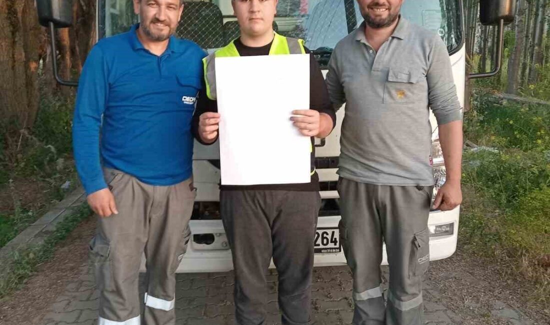 Afyonkarahisar’da otizmli Ramazan Yılmaz’ın aydınlatma direği dikilmesi yönündeki özel talebi,