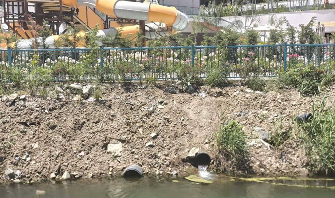 Çevre, Şehircilik ve İklim Değişikliği Bakanlığı ekipleri, Fethiye’de Özel Çevre