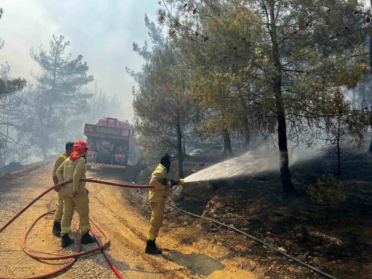 Sakarya’da başlayan ve Bilecik’in Gölpazarı ilçesine sıçrayan orman yangını bu
