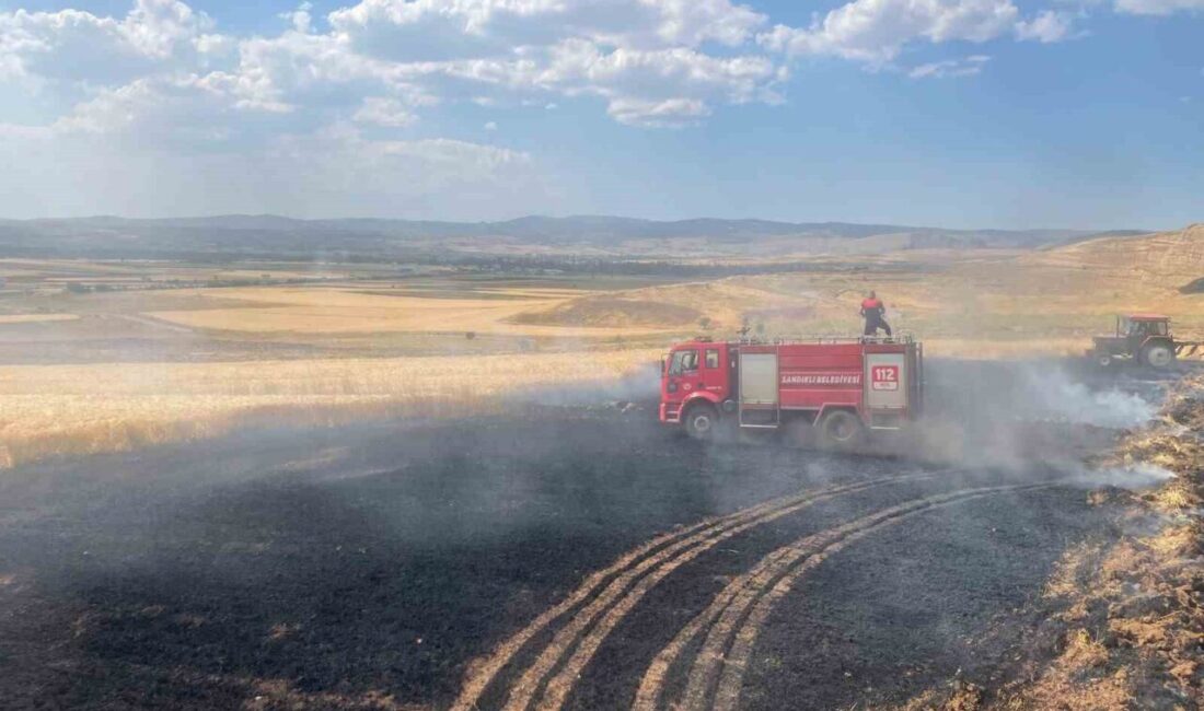 Afyonkarahisar’ın Sandıklı ilçesi Ekinhisar köyünde sebebi henüz belirlenemeyen bir yangın