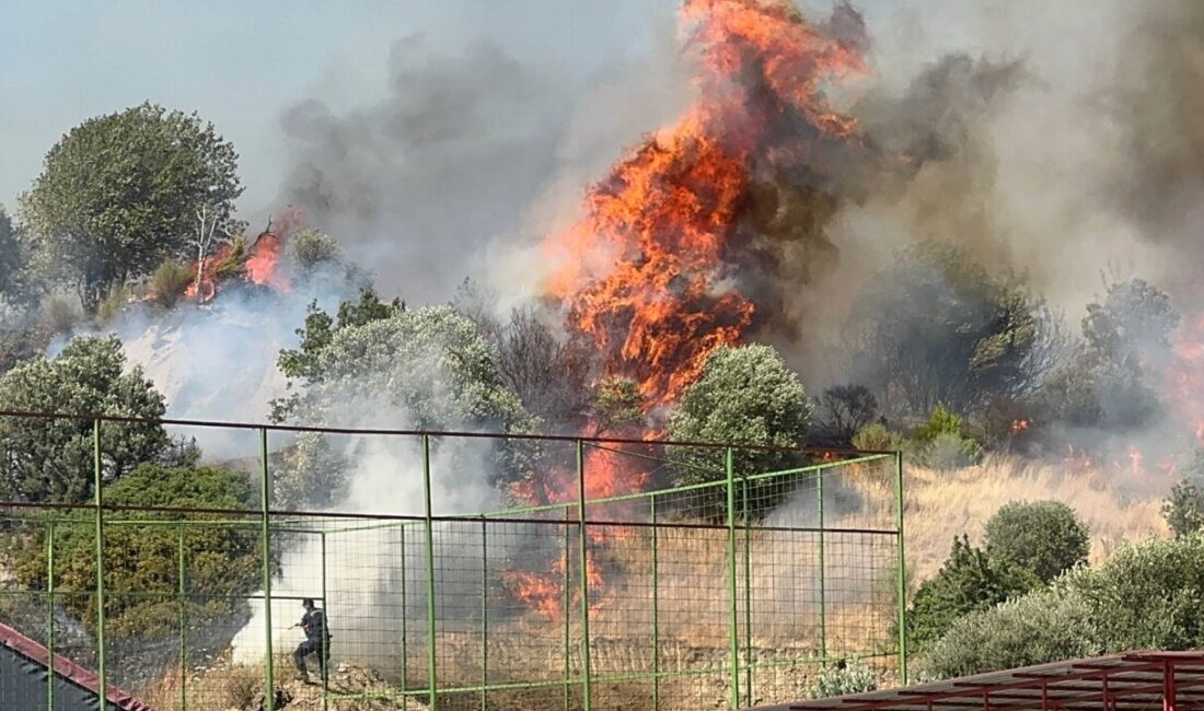 Aydın'ın Söke ve Nazilli ilçelerinde tarım alanında çıkan yangınlar söndürülmeye