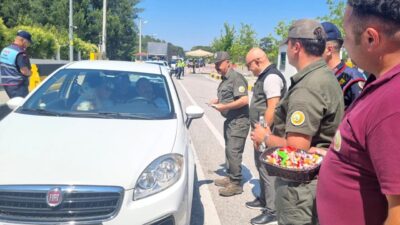 Muğla Orman Bölge Müdürlüğü ekipleri, özellikle piknik ve mangal ateşinden