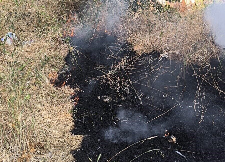 Bilecik’te bir bahçede temizlik amacı ile yakılan otlardan yayılan alevler,
