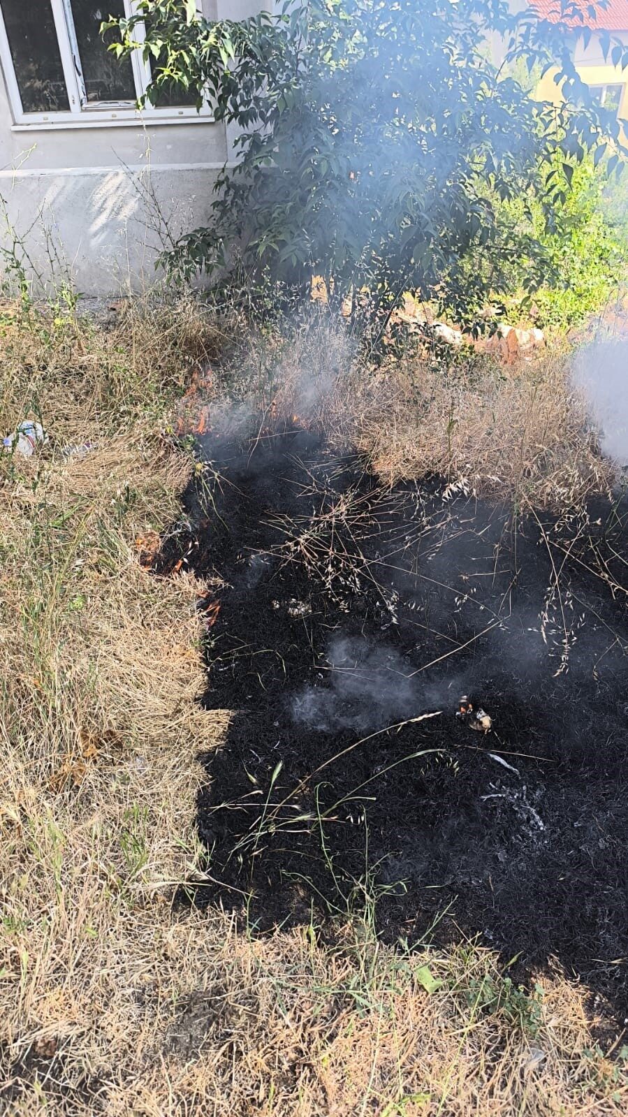 Bilecik’te bir bahçede temizlik amacı ile yakılan otlardan yayılan alevler,