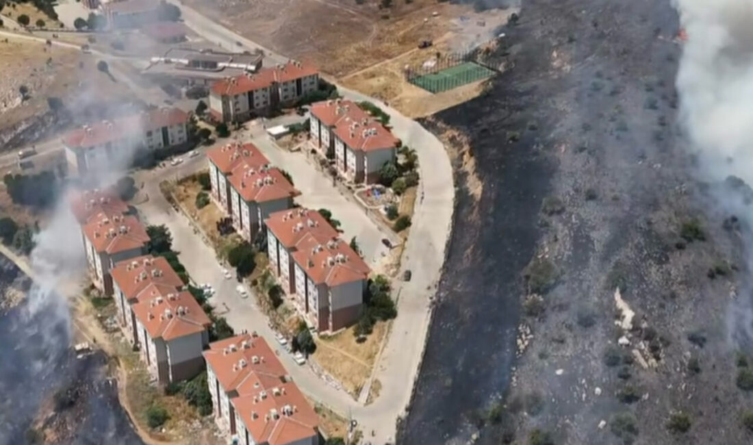 İzmir’in Tire ilçesinde otluk alanda çıkan yangın ekiplerin müdahalesiyle söndürüldü.
